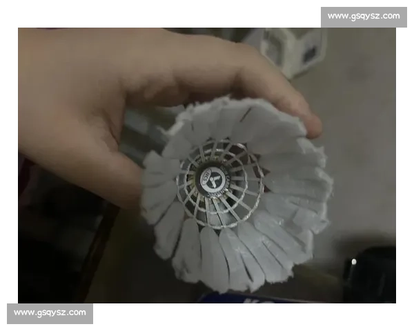 碳音球变 “暗器”!广州女子打羽毛球被击穿眉骨,专家紧急提醒 碳音球变 “暗器”!广州女子打羽毛球被击穿眉骨,专家紧急提醒